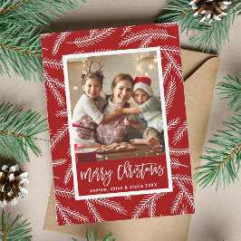 Cartão De Festividades Red Pine Branch Pattern Feliz Foto de Natal