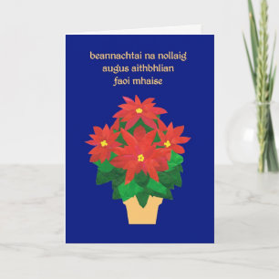 Cartão De Festividades Red Poinsettias sobre a Saudação da Língua Azul Ir