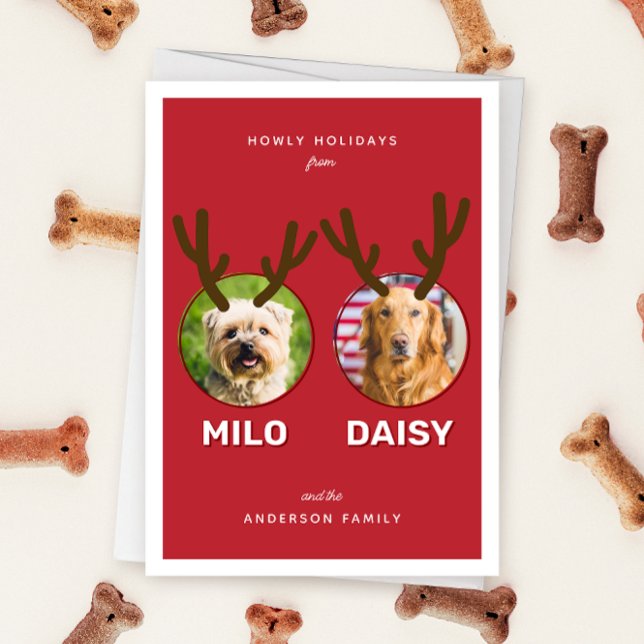 Cartão De Festividades Red Reinpet 2 Foto Pet Natal Folheto (Folded two photo pet Christmas holiday card with message "Howly Holidays" with two sets of antlers)