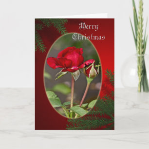 Cartão De Festividades Red Rose and Bud Merry Christmas Greeting Card