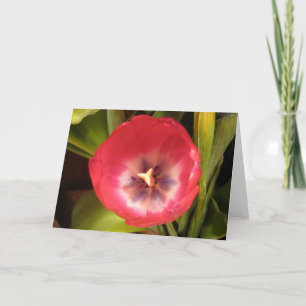 Cartão De Festividades Red Tulip I