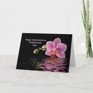 Cartão De Festividades Reflexão Orquídea Rosa Admin Pro Dia