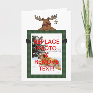 Cartão De Festividades Reindeer Framed Christmas Photo