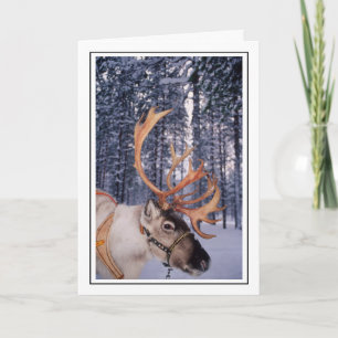 Cartão De Festividades Reindeer para Cima-Fechar