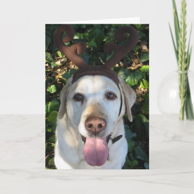 Cartão De Festividades Reindeer Prima (Frente)