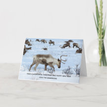 Reindeer Stags Foto de Natal Personalizada