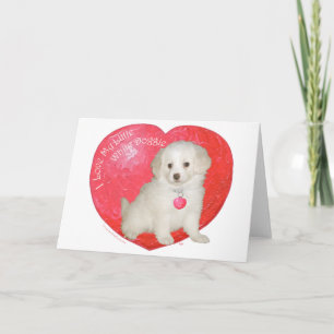 Cartão De Festividades Resgate de Cachorro Branco no Dia dos Namorados