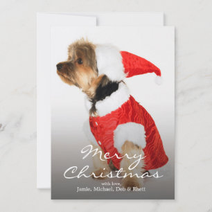 Cartão De Festividades Retrato de Yorkshire Terrier Vestindo Santa Hat