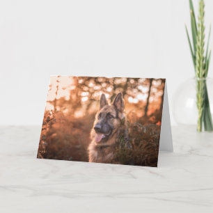 Cartão De Festividades retrato do german shepherd