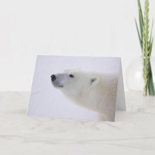Cartão De Festividades Retrato do Urso Polar