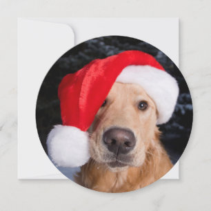 Cartão De Festividades Retriever de ouros em Santa Hat