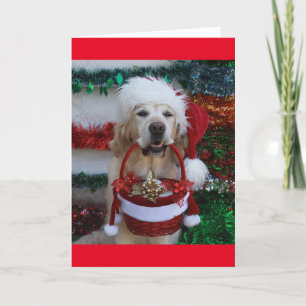 Cartão De Festividades Retriever ouro segurando uma cesta de Natal