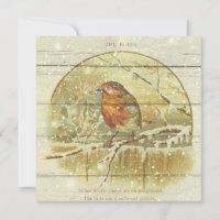 Retrô | Pássaro Cardeal De Inverno Vintage Snowy E