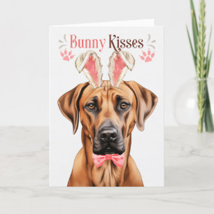 Cartão De Festividades Ridgeback Ridgeback Dog Bunny Ears para Páscoa