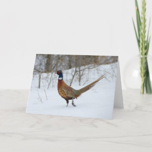 Cartão De Festividades Ring-Neck Pheasant in Snow Holiday Greeting Card