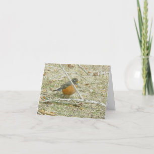 Cartão De Festividades Robin Harbinger da Primavera