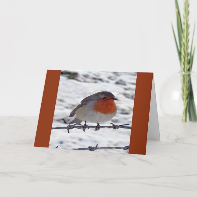 Cartão De Festividades Robin Redbreast (Frente)