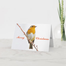 Cartão De Festividades Robin Redbreast.