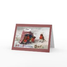 Robins Ingleses Sob Natais vintages Flowerpot