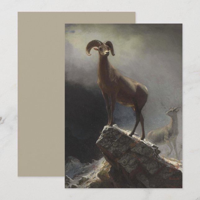 Cartão De Festividades Rocky Mountain Sheep por Albert Bierstadt (Frente/Verso)