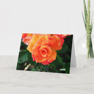 Cartão De Festividades Rosa