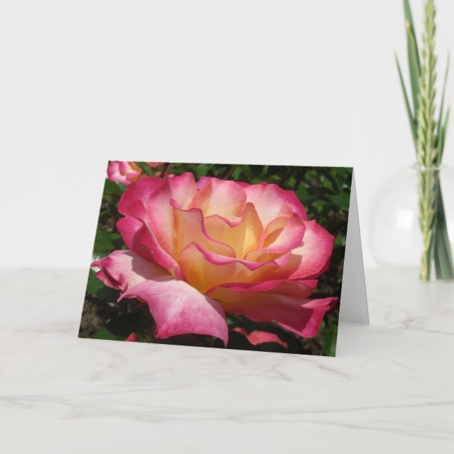 Cartão De Festividades Rosa (Frente)