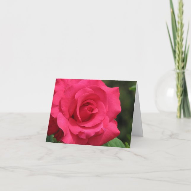 Cartão De Festividades Rosa (Frente)