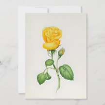 Rosa Amarela em Aquarelas