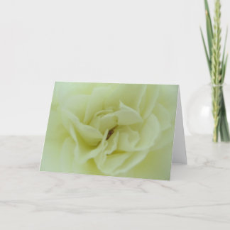 Cartão De Festividades Rosa branco - o coração do anjo