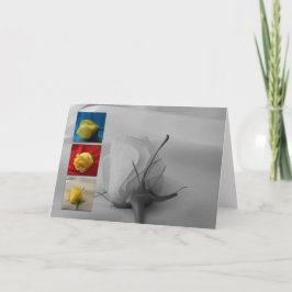 Cartão De Festividades Rosa Cartão-Branco do dia dos namorados