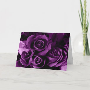 Cartão De Festividades Rosa roxo