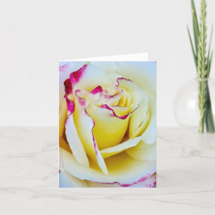 Cartão De Festividades Rosa Tingida de Rosa e Amarelo em Flor