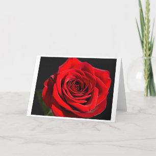 Cartão De Festividades Rosa vermelha