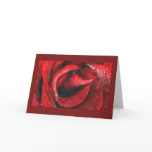 Rosa vermelha pintada do namorados