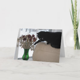 Cartão De Festividades Rosas e o Gato