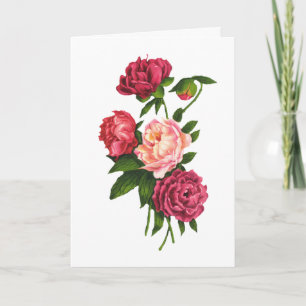 Cartão De Festividades Roses Valentine's Day Card (Large Print)