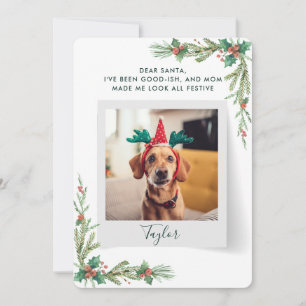 Cartão De Festividades Roteiro de foto de animal de estimação cachorro en