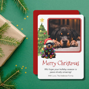 Cartão De Festividades Rottweiler e Cão-de-Pé-de-Natal Uma Foto