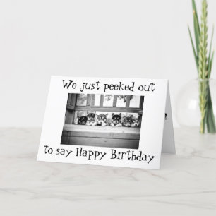 Cartão De Festividades ROUCO PUPPIES DIZ como "GRUPO" **FELIZ ANIVERSÁRIO