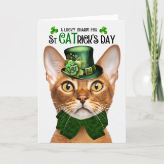 Cartão De Festividades Rua Engraçado de Gato Abissino.