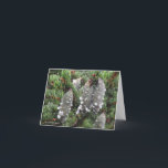 Cartão De Festividades Rubens do Picea, abeto vermelho vermelho<br><div class="desc">Sociedade da flor selvagem de Nova Inglaterra
 newenglandwild.org</div>