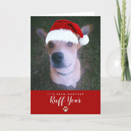 Cartão De Festividades Ruff Ano 2021 Cachorro Engraçado Pun Pet Foto de N