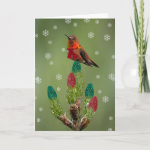 Cartão De Festividades Rufous Hummingbird Natal