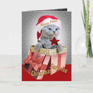 Cartão De Festividades Russian Blue Christmas Surprise cards