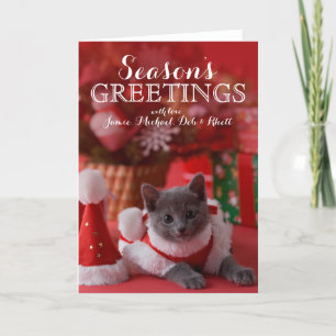Cartão De Festividades Russian Blue Kitten and Christmas