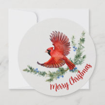 Rustic Watercolor Bird Red Cardinale Natal