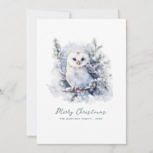 Cartão De Festividades Rustic Woodland Pine Owl Felry Natal