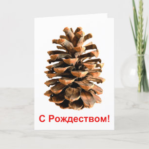 Cartão De Festividades S Rozhdestvom - Jerusalem Pine Cone