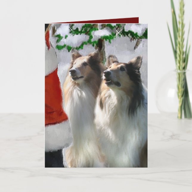 Cartão De Festividades Sable Rough Collie presentes de Natal (Frente)