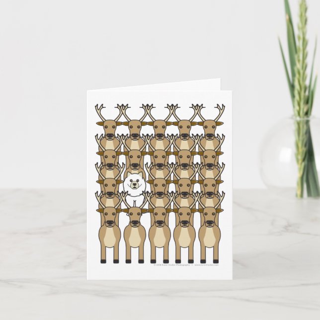 Cartão De Festividades Samoyed na rena (Frente)